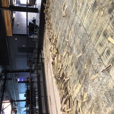 Floor Demo and Replacement 3
